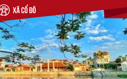 Xã Cổ Đô: Tất cả thông tin chỉ dẫn bạn cần biết