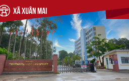 Xã Xuân Mai: Tất cả thông tin chỉ dẫn bạn cần biết