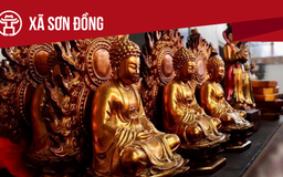 Xã Sơn Đồng: Tất cả thông tin chỉ dẫn bạn cần biết