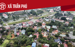 Xã Trần Phú: Tất cả thông tin chỉ dẫn bạn cần biết