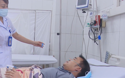 Cấp cứu kịp thời bệnh nhân sốc phản vệ do ong đốt