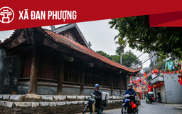 Xã Đan Phượng: Tất cả thông tin chỉ dẫn bạn cần biết