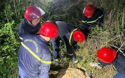 Du khách tử vong khi nhảy dù tại bán đảo Sơn Trà