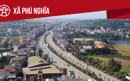 Xã Phú Nghĩa: Tất cả thông tin chỉ dẫn bạn cần biết