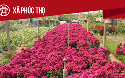 Xã Phúc Thọ: Tất cả thông tin chỉ dẫn bạn cần biết