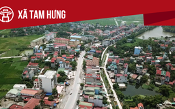 Xã Tam Hưng: Tất cả thông tin chỉ dẫn bạn cần biết