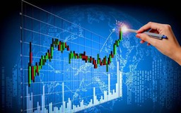 Chứng khoán phản ứng tích cực sau thông tin thuế quan