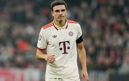Tiền vệ Joao Palhinha gia nhập Tottenham