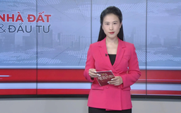 Bản tin Nhà đất và đầu tư | 01/08/2025
