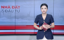 Bản tin Nhà đất và đầu tư | 10/08/2025