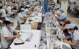 TP.HCM nâng mục tiêu thu ngân sách lên 800.000 tỷ đồng