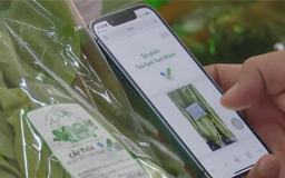 Tăng doanh số bán hàng nhờ 'tick xanh trách nhiệm'