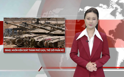 Israel muốn kiểm soát thành phố Gaza, thế giới phẫn nộ | Nhìn ra thế giới | 10/08/2025