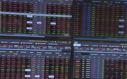 VN-Index lập kỷ lục mới, vượt mốc 1.600 điểm