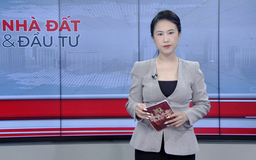 Bản tin Nhà đất và đầu tư | 11/08/2025