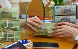Hưng Thắng Lợi Gia Lai huy động 1.000 tỷ đồng trái phiếu