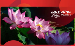 Sen cuối mùa ngát hương