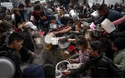 EU kêu gọi hành động khẩn cấp ngăn nạn đói ở Gaza