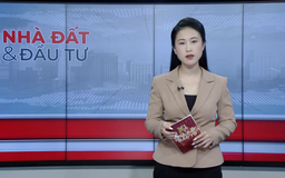 Bản tin Nhà đất và Đầu tư | 13/08/2025