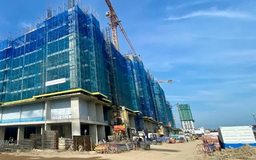Tái diễn chiêu lừa mua NƠXH bằng suất ngoại giao