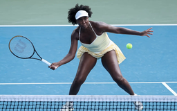 Venus Williams nhận suất đặc cách tham dự Mỹ mở rộng