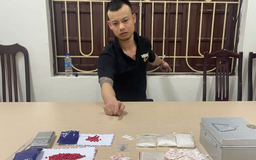 Hà Nội: Triệt phá đường dây ma túy, tàng trữ vũ khí