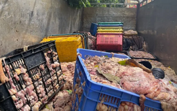 Hà Nội: Phát hiện hai tấn mỡ không rõ nguồn gốc