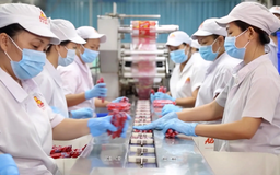Doanh nghiệp loay hoay đổi bao bì sau sáp nhập hành chính