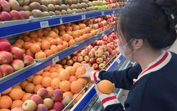 Saigon Co.op mang cam Úc tươi đến bàn ăn Việt