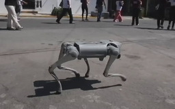 Chó robot lên tiếng thay loài vật ở Mexico