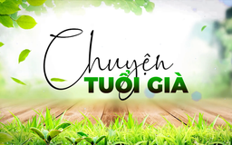 Thể dục buổi sáng - liều thuốc của tuổi già | Chuyện tuổi già | 17/08/2025