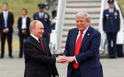 Ông Putin và ông Zelensky lên tiếng sau thượng đỉnh Nga - Mỹ