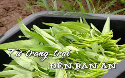 Từ trang trại đến bàn ăn | Nhịp sống Hà Nội | 18/08/2025