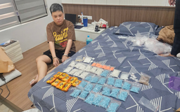 Công an Hà Nội thu giữ hơn 2kg ma tuý tổng hợp