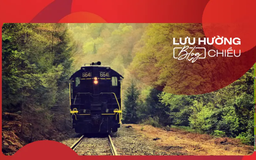 Trên những chuyến xe đời