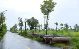 Chủ động tái định cư để đẩy nhanh giải phóng mặt bằng | Chuyện đô thị | 02/08/2025