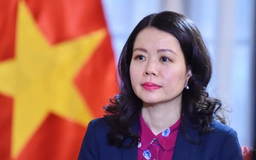 Chương mới trong quan hệ giữa Việt Nam với Ai Cập và Angola