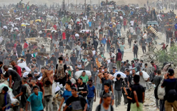 Đặc phái viên Mỹ thăm khu vực viện trợ ở Gaza