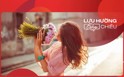 Đánh thức sự dịu dàng bên trong