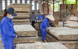 Tinh hoa thương hiệu Việt - Tự hào thương hiệu Quốc gia
