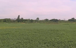 Xã Ngọc Hồi dành 5,4 ha đất GPMB dự án giao thông