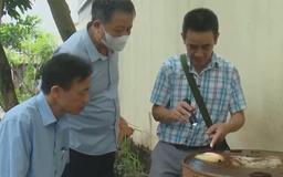 Xã Mỹ Đức khẩn trương phối hợp dập dịch sốt xuất huyết