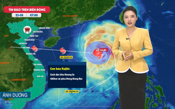 Dự báo thời tiết trưa | 23/08/2025