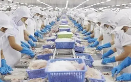 Xuất khẩu nông, lâm, thủy sản hướng tới mục tiêu 70 tỷ USD