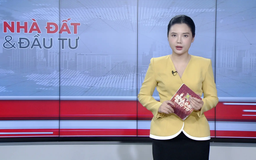 Bản tin Nhà đất và đầu tư | 24/08/2025