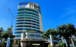 VietinBank rao bán khoản nợ của doanh nghiệp DLG