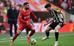 Newcastle vs Liverpool: Thử thách chờ đợi