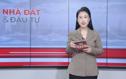 Bản tin Nhà đất và đầu tư | 25/08/2025