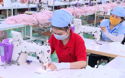 Doanh nghiệp linh hoạt thích ứng thuế đối ứng 20% từ Mỹ