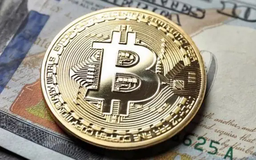 Giá Bitcoin chạm mức thấp nhất trong 7 tuần